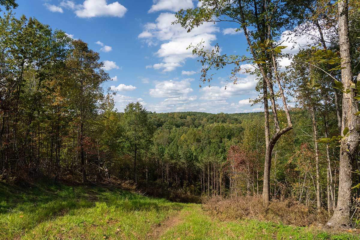 The Reserve at High Forest Tennessee Land & Lakes