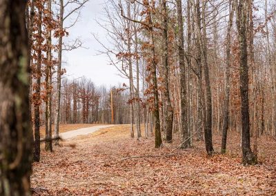 Reserve at High Forest